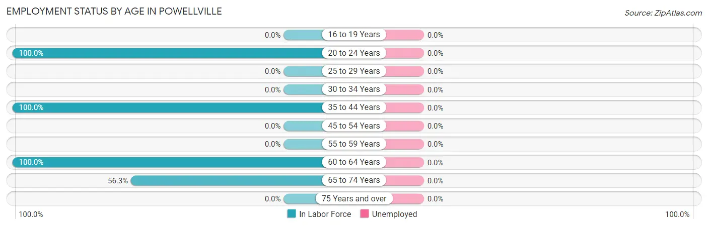 Employment Status by Age in Powellville