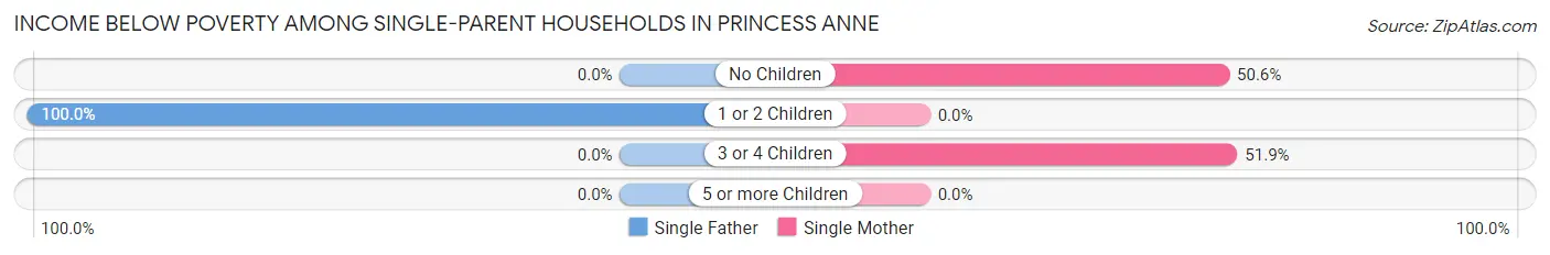 Income Below Poverty Among Single-Parent Households in Princess Anne