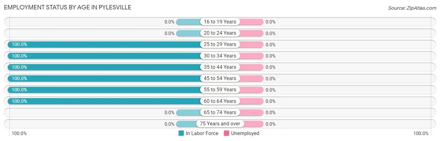 Employment Status by Age in Pylesville
