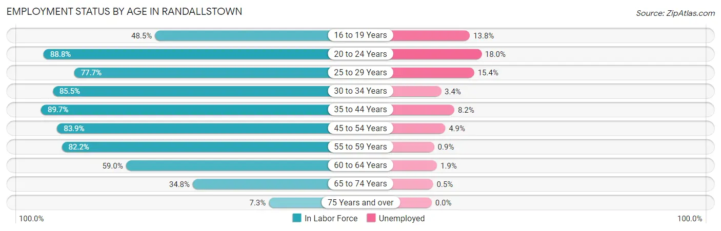 Employment Status by Age in Randallstown