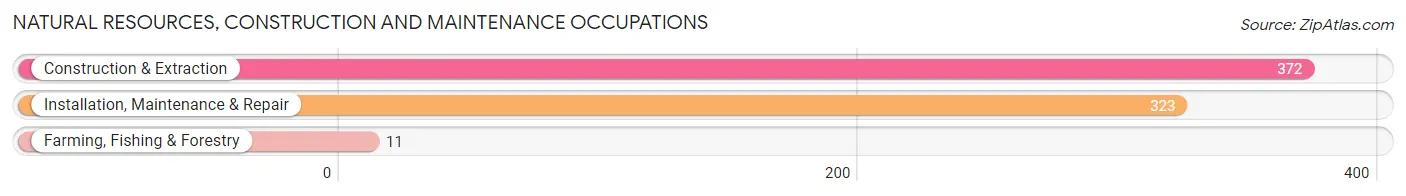 Natural Resources, Construction and Maintenance Occupations in Randallstown