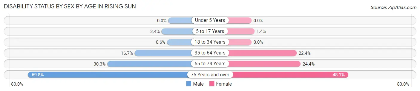 Disability Status by Sex by Age in Rising Sun