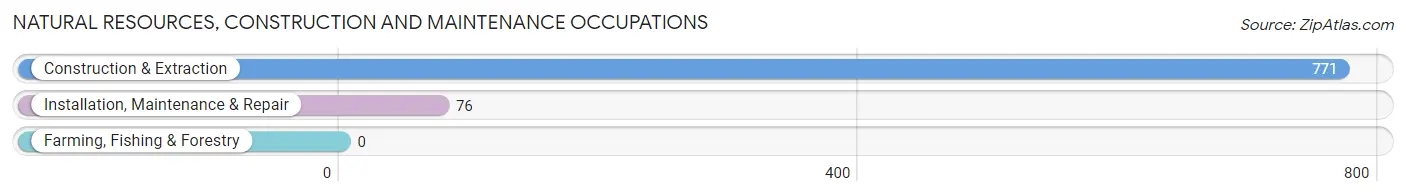 Natural Resources, Construction and Maintenance Occupations in Riverdale Park