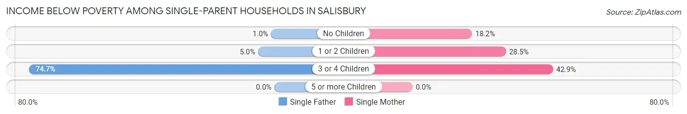 Income Below Poverty Among Single-Parent Households in Salisbury