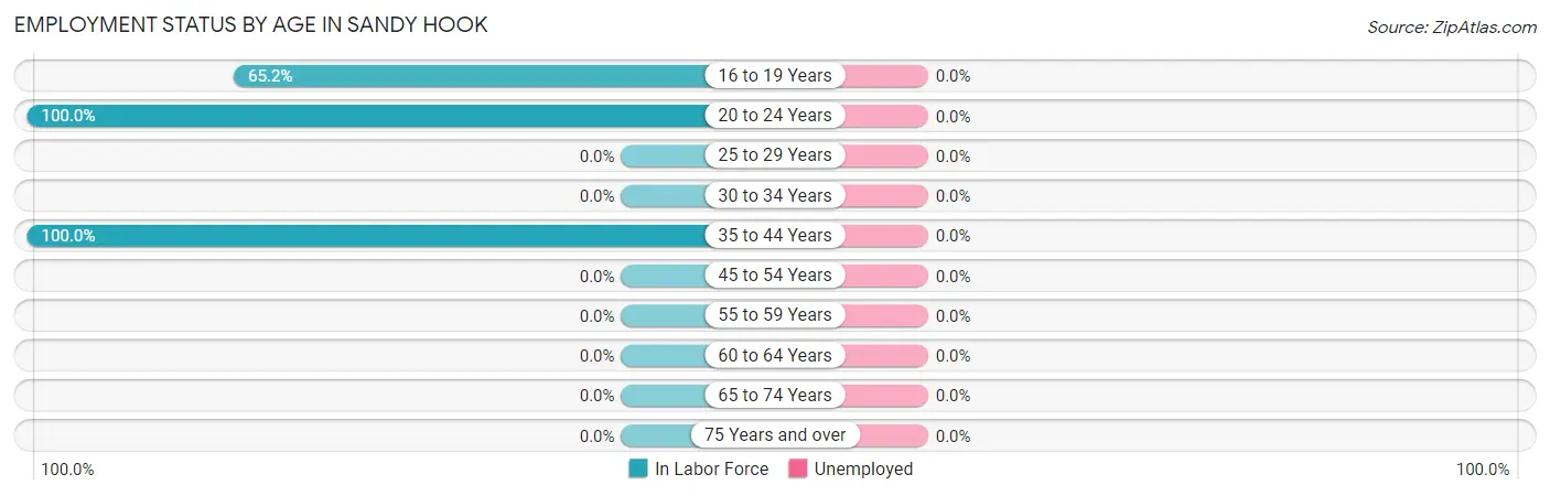 Employment Status by Age in Sandy Hook