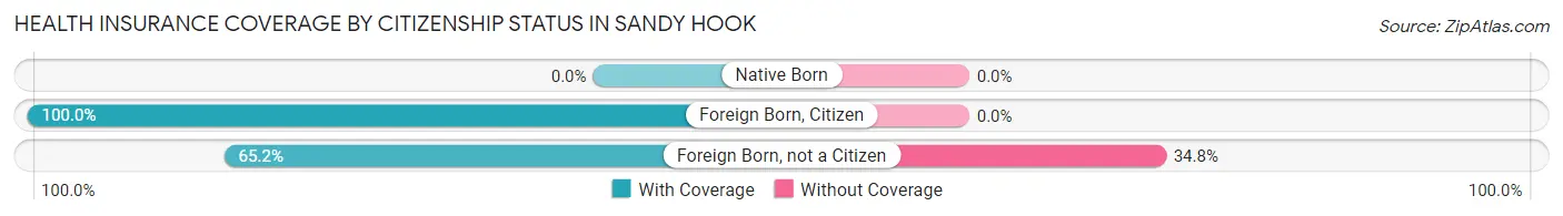 Health Insurance Coverage by Citizenship Status in Sandy Hook