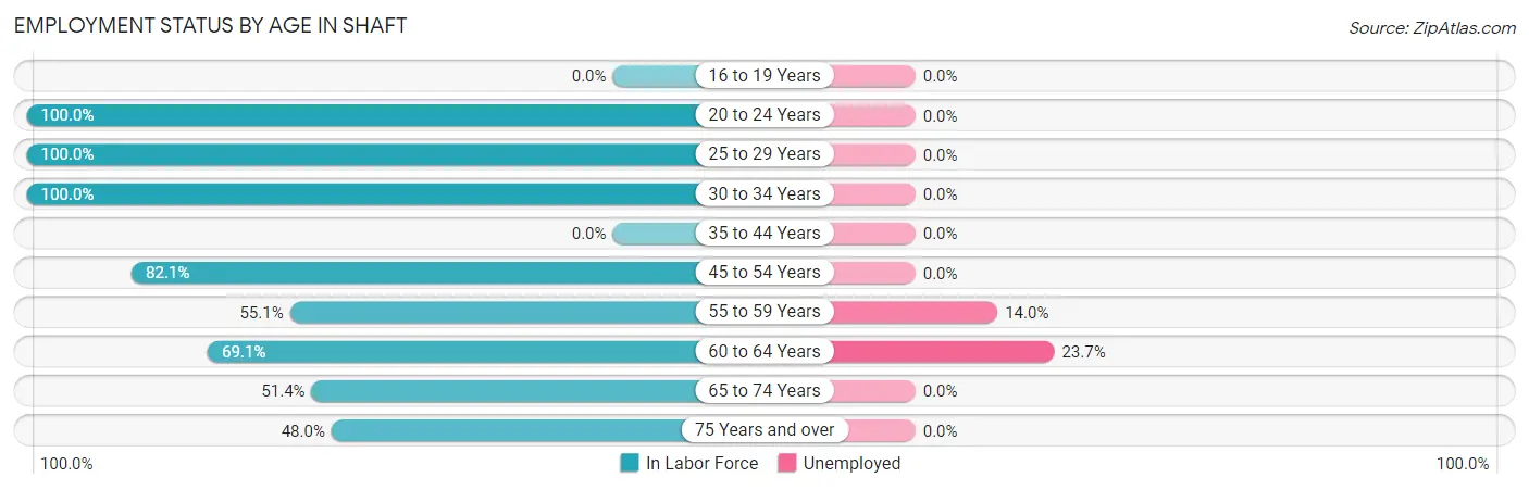 Employment Status by Age in Shaft