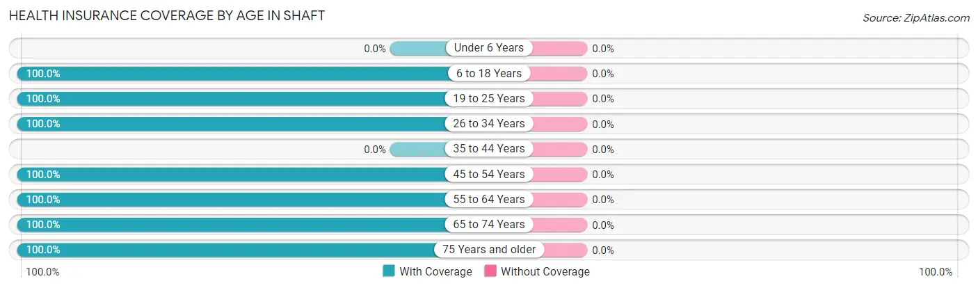 Health Insurance Coverage by Age in Shaft