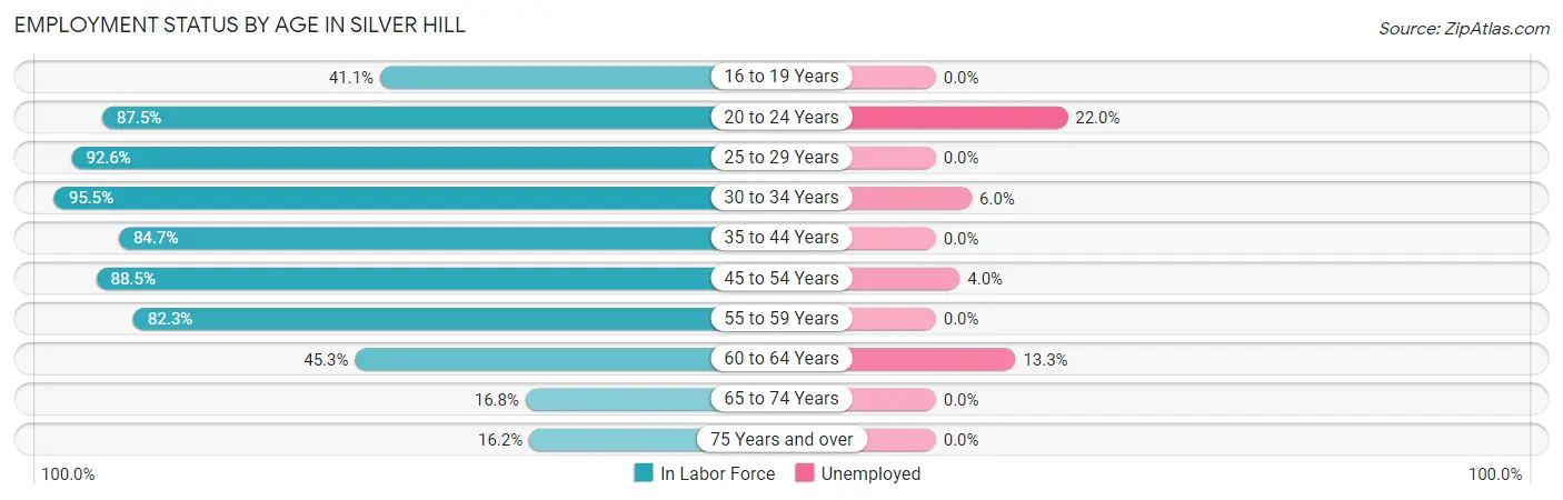 Employment Status by Age in Silver Hill