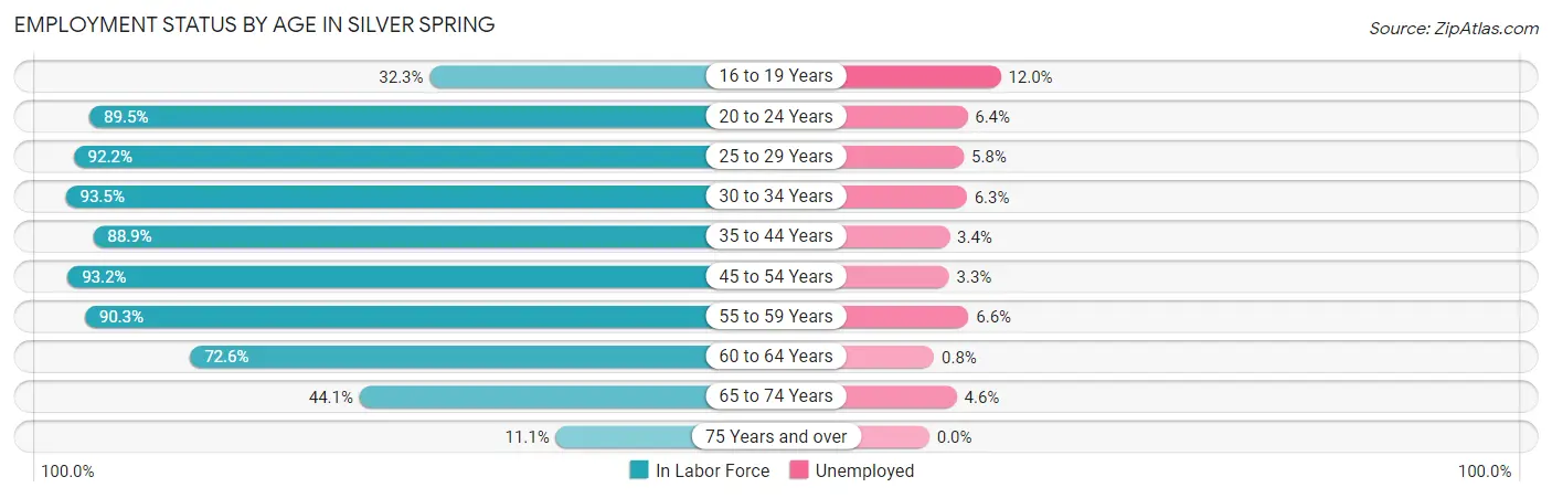 Employment Status by Age in Silver Spring