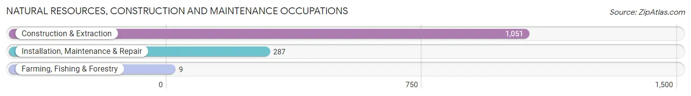 Natural Resources, Construction and Maintenance Occupations in South Laurel