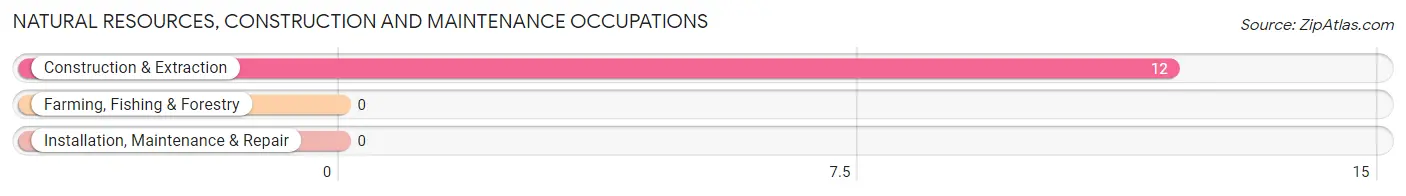 Natural Resources, Construction and Maintenance Occupations in Spring Gap