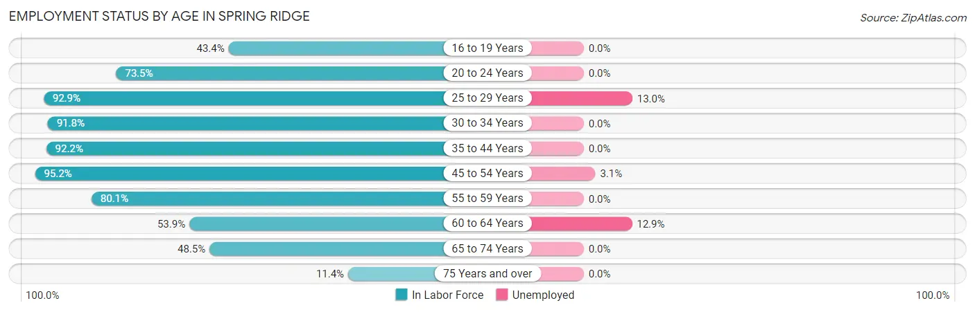 Employment Status by Age in Spring Ridge