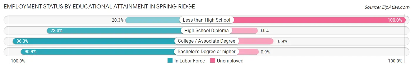 Employment Status by Educational Attainment in Spring Ridge