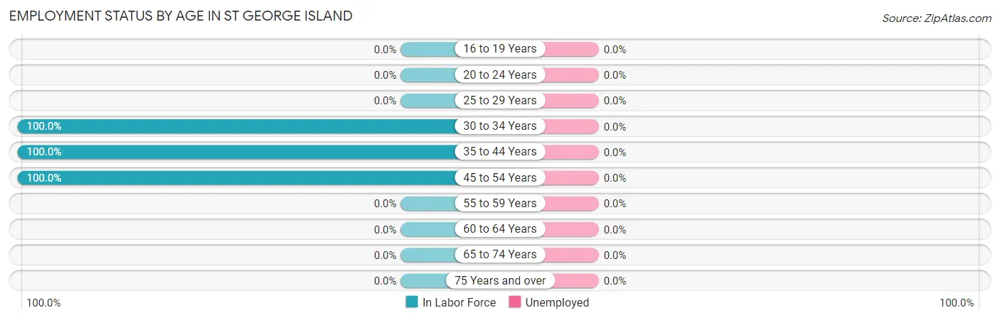 Employment Status by Age in St George Island