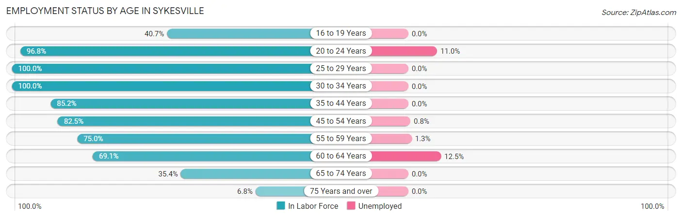 Employment Status by Age in Sykesville