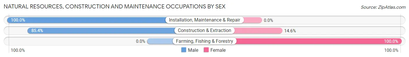 Natural Resources, Construction and Maintenance Occupations by Sex in Takoma Park