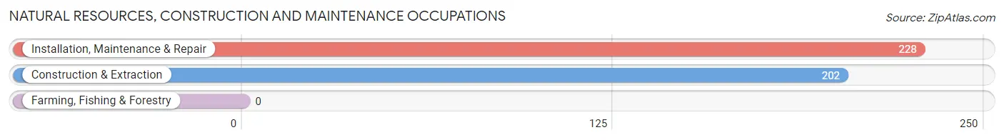 Natural Resources, Construction and Maintenance Occupations in Temple Hills