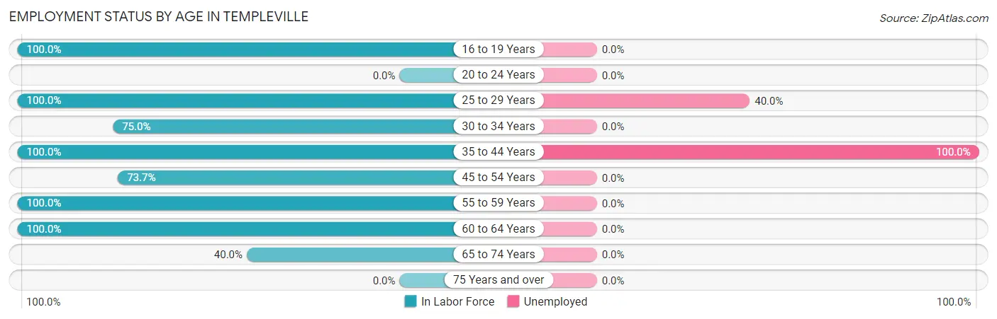 Employment Status by Age in Templeville
