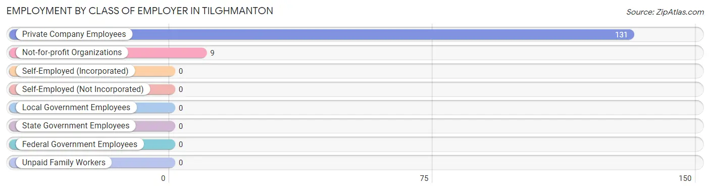 Employment by Class of Employer in Tilghmanton