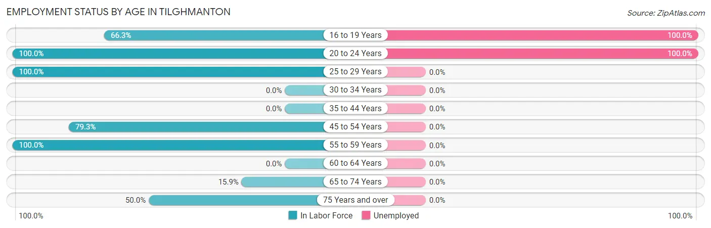 Employment Status by Age in Tilghmanton