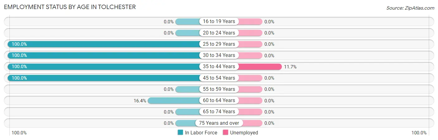 Employment Status by Age in Tolchester