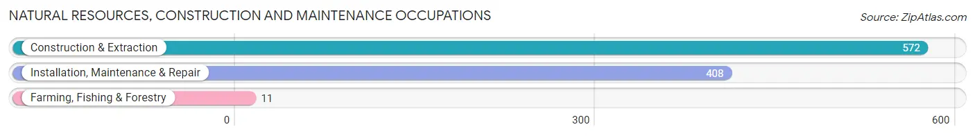 Natural Resources, Construction and Maintenance Occupations in Towson