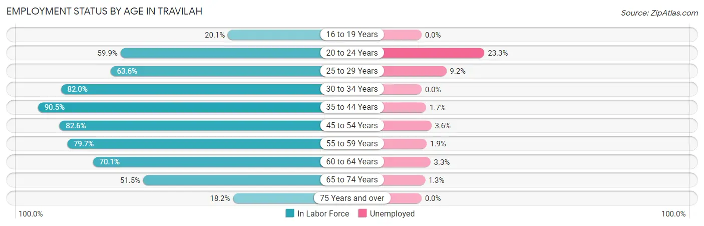 Employment Status by Age in Travilah