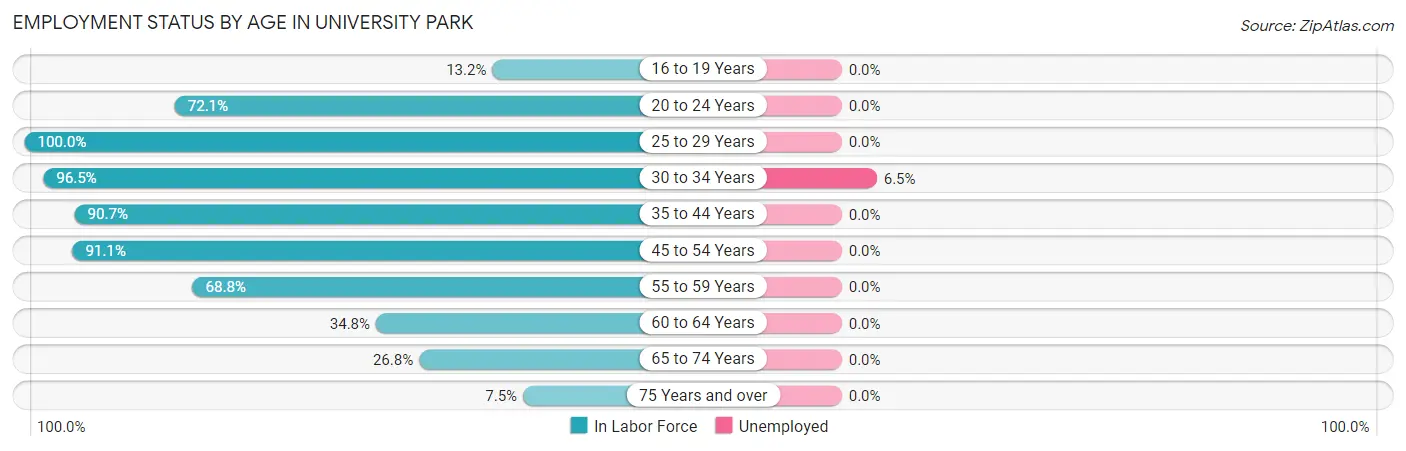Employment Status by Age in University Park