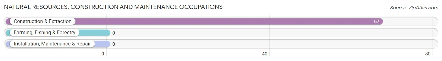 Natural Resources, Construction and Maintenance Occupations in University Park