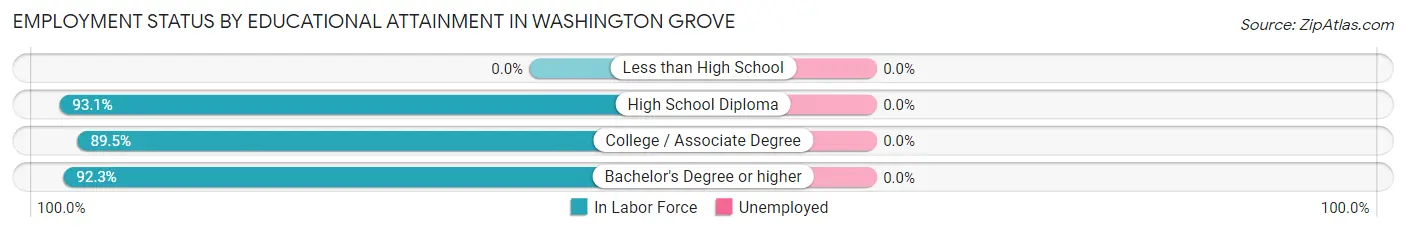 Employment Status by Educational Attainment in Washington Grove
