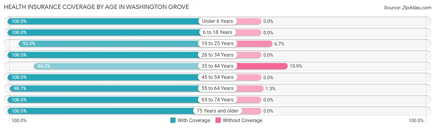 Health Insurance Coverage by Age in Washington Grove