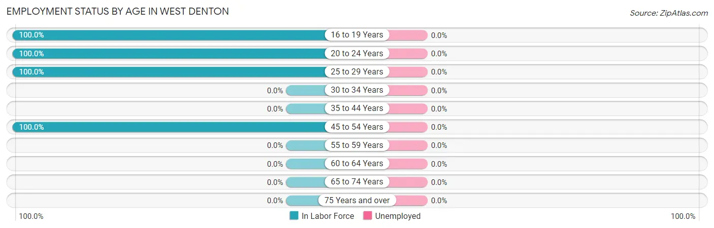 Employment Status by Age in West Denton
