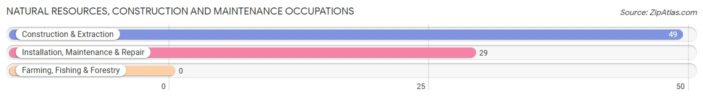 Natural Resources, Construction and Maintenance Occupations in West Laurel