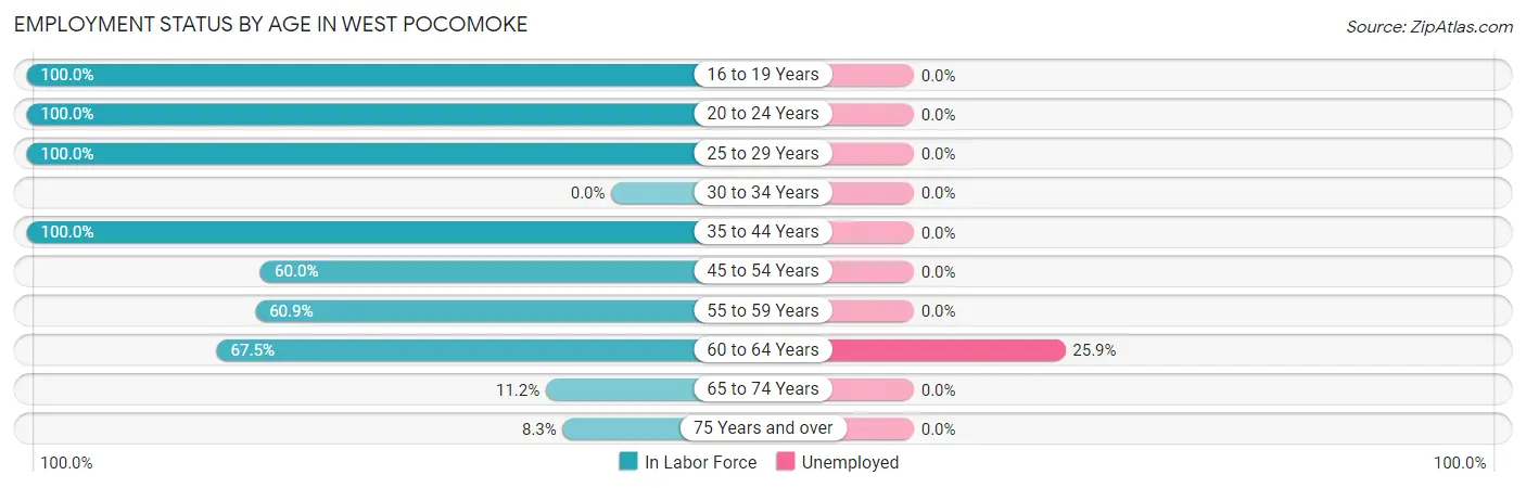 Employment Status by Age in West Pocomoke