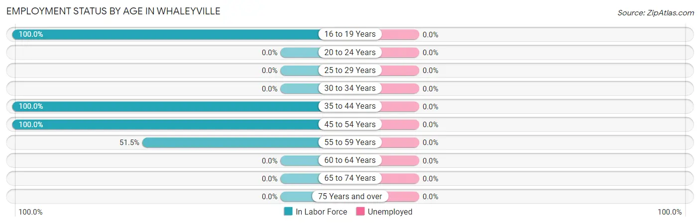 Employment Status by Age in Whaleyville