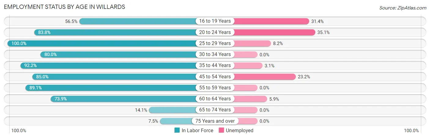 Employment Status by Age in Willards