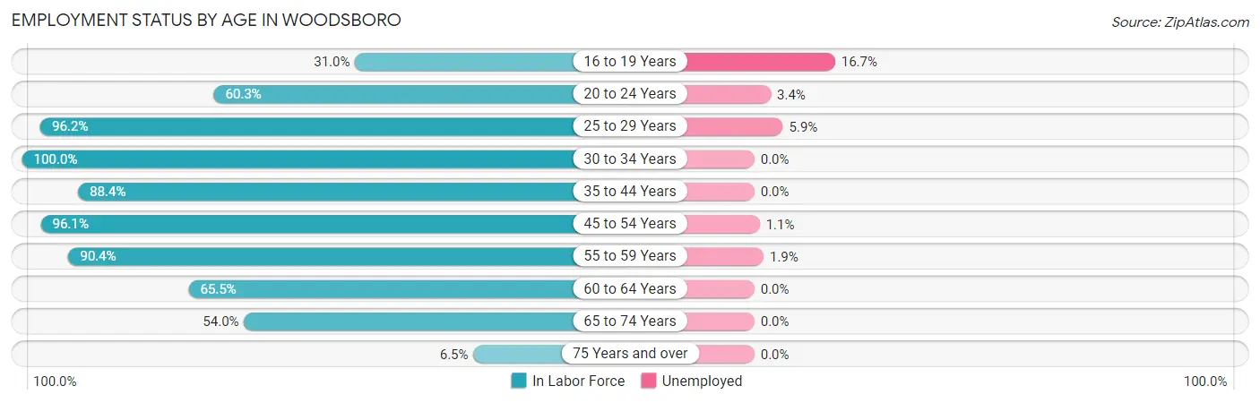 Employment Status by Age in Woodsboro
