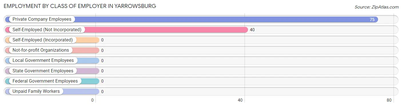 Employment by Class of Employer in Yarrowsburg