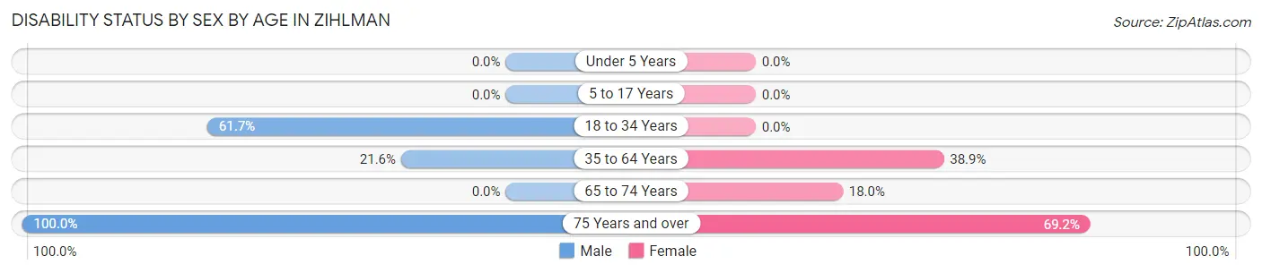 Disability Status by Sex by Age in Zihlman