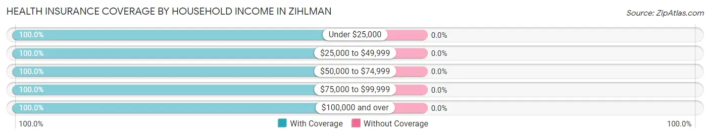 Health Insurance Coverage by Household Income in Zihlman