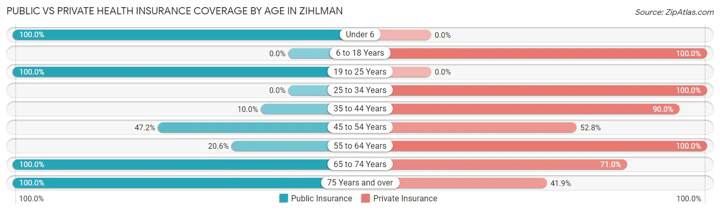 Public vs Private Health Insurance Coverage by Age in Zihlman