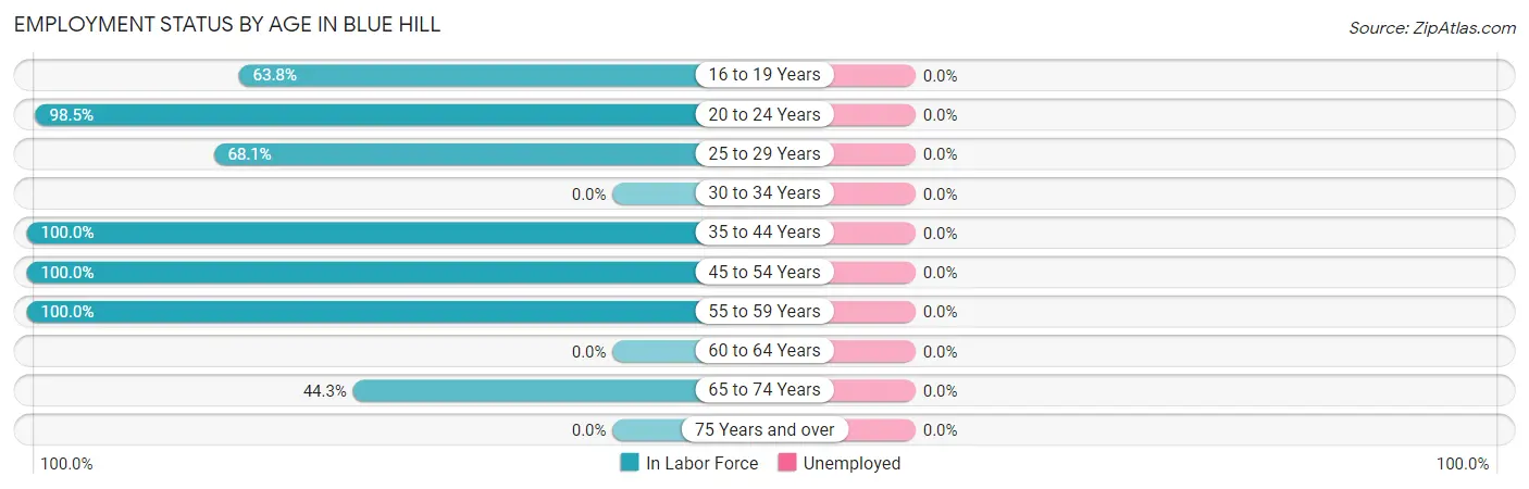 Employment Status by Age in Blue Hill