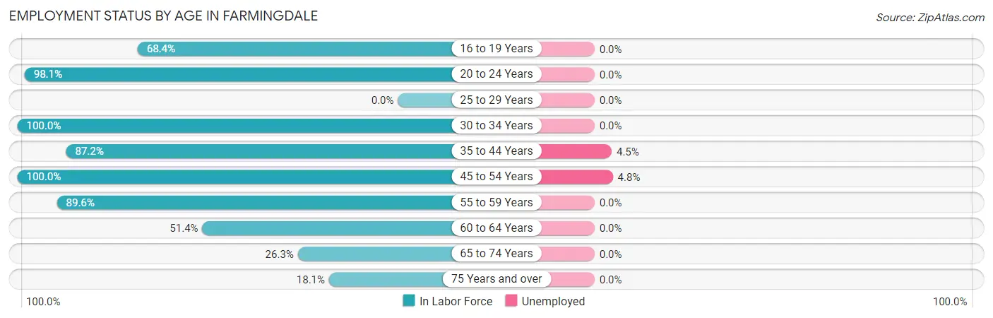 Employment Status by Age in Farmingdale