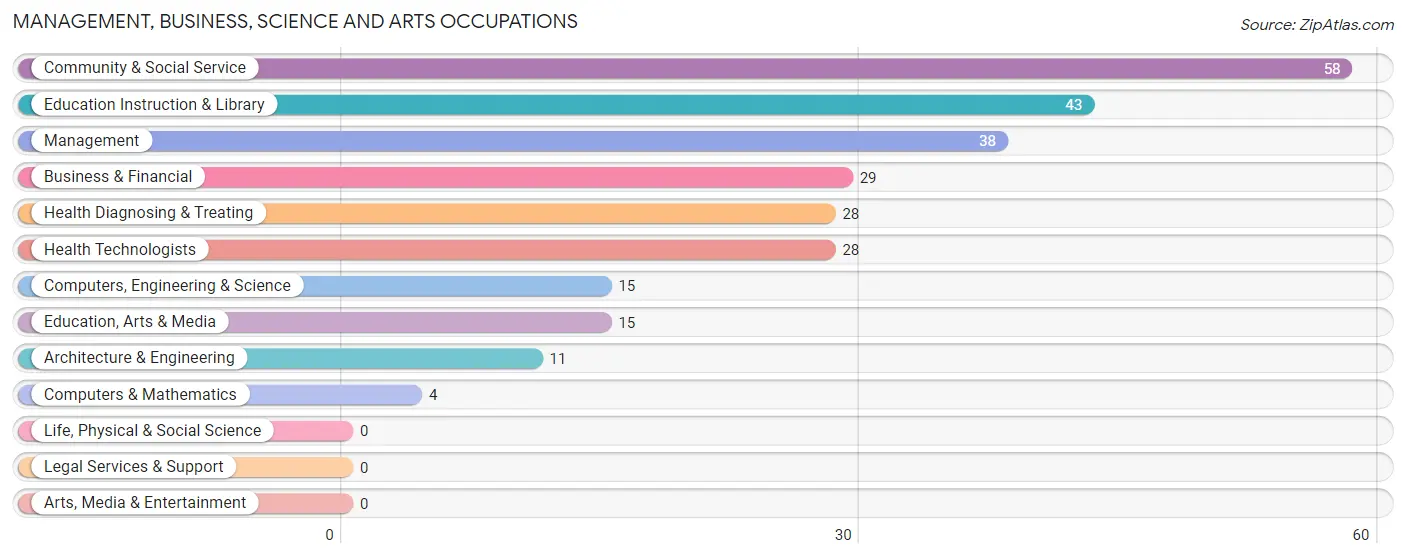 Management, Business, Science and Arts Occupations in Mechanic Falls