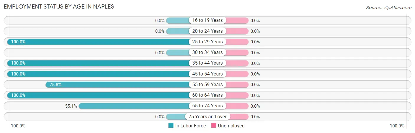 Employment Status by Age in Naples