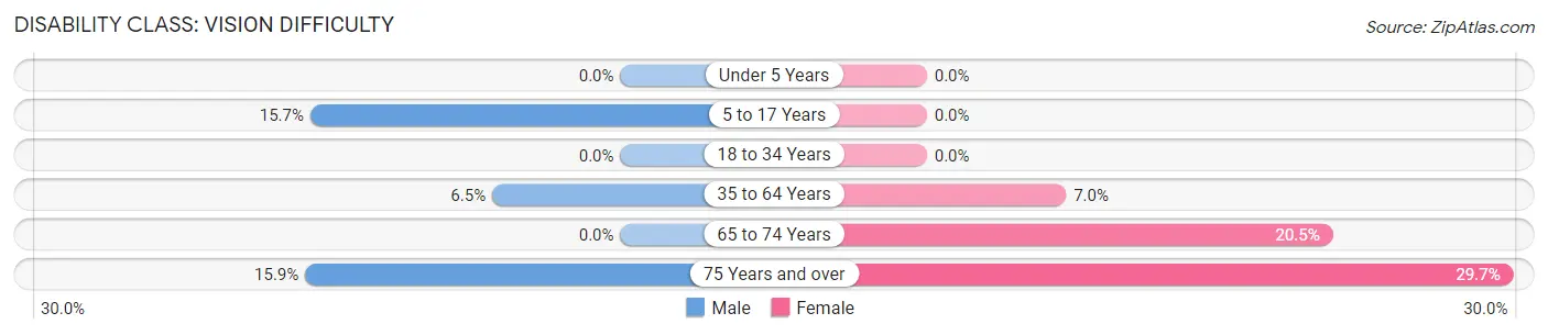 Disability in Pittsfield: <span>Vision Difficulty</span>