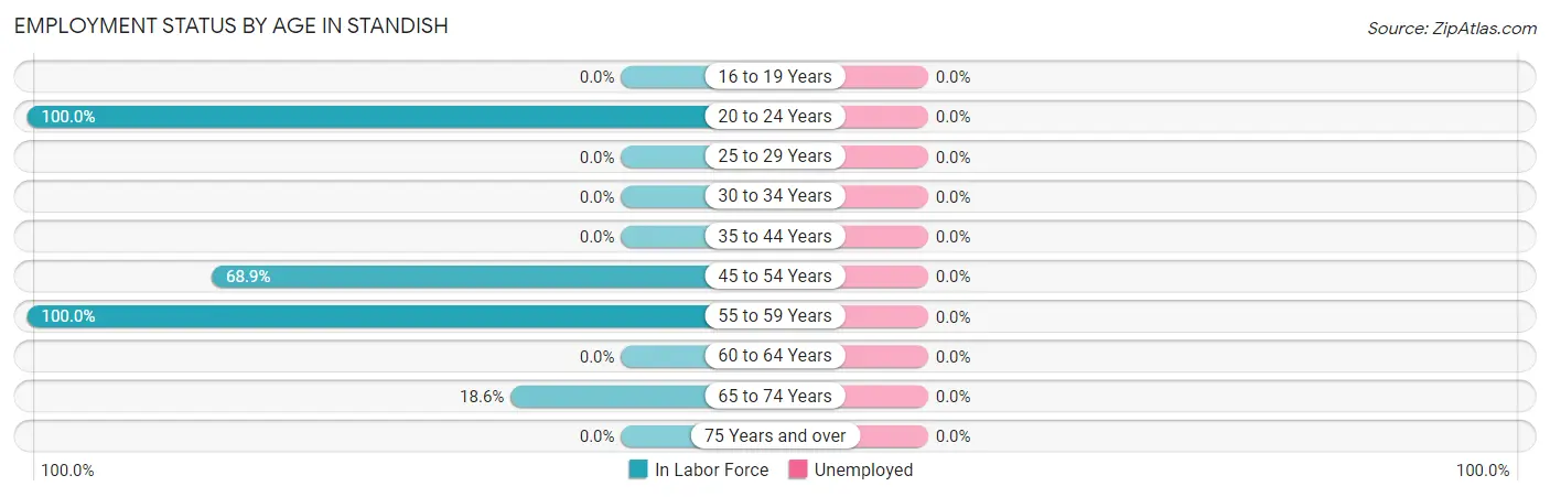 Employment Status by Age in Standish