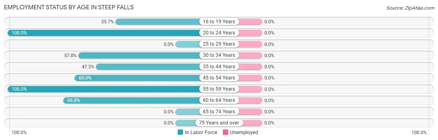 Employment Status by Age in Steep Falls