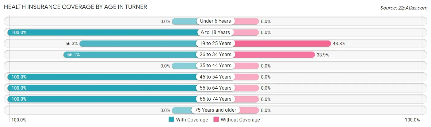 Health Insurance Coverage by Age in Turner
